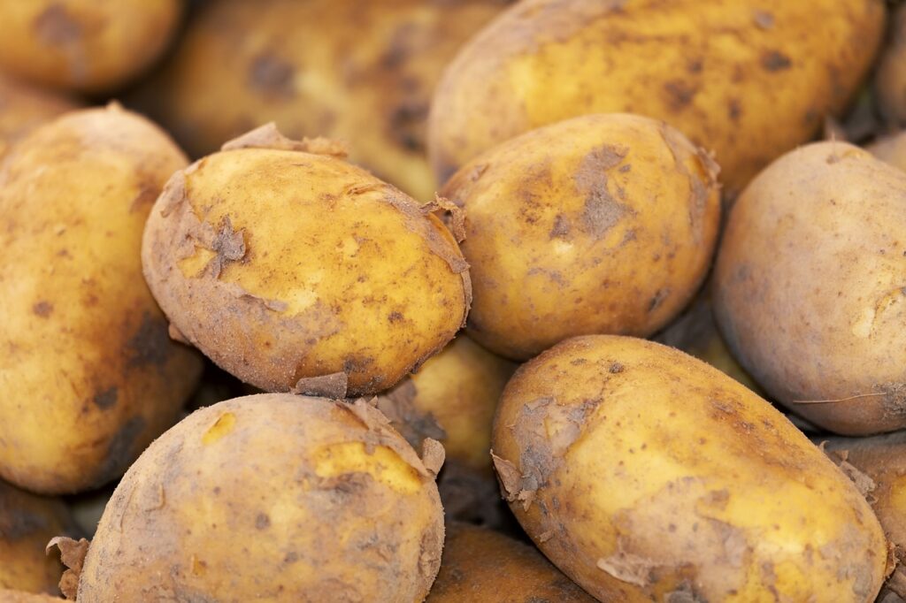 Dia Internacional da Batata: A Importância da Cultura