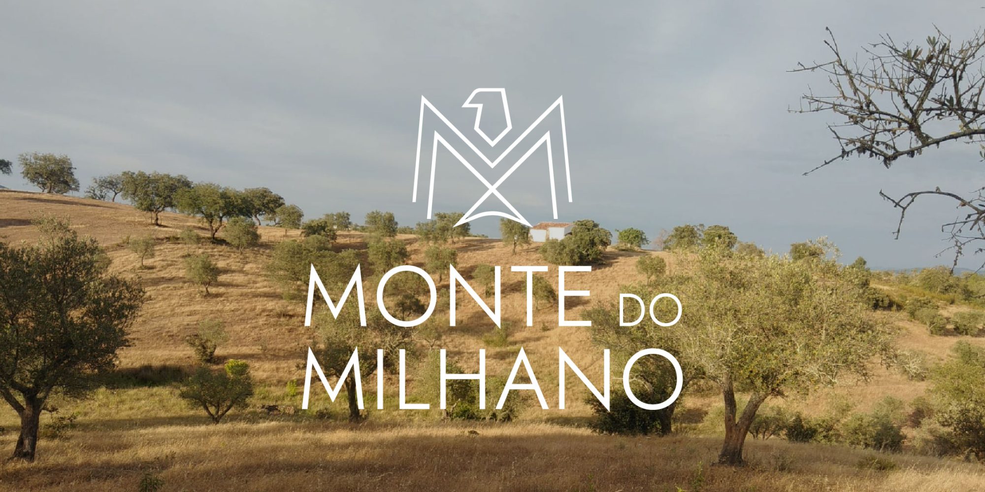 Monte do Milhano | Identidade visual | Portfólio Espaço Visual